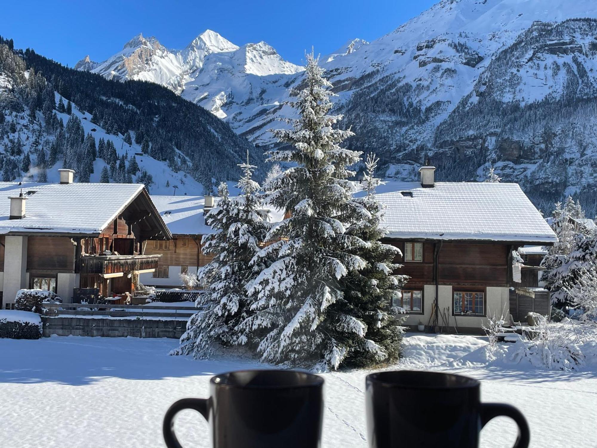 Swiss Alps Lodge Kandersteg Bagian luar foto