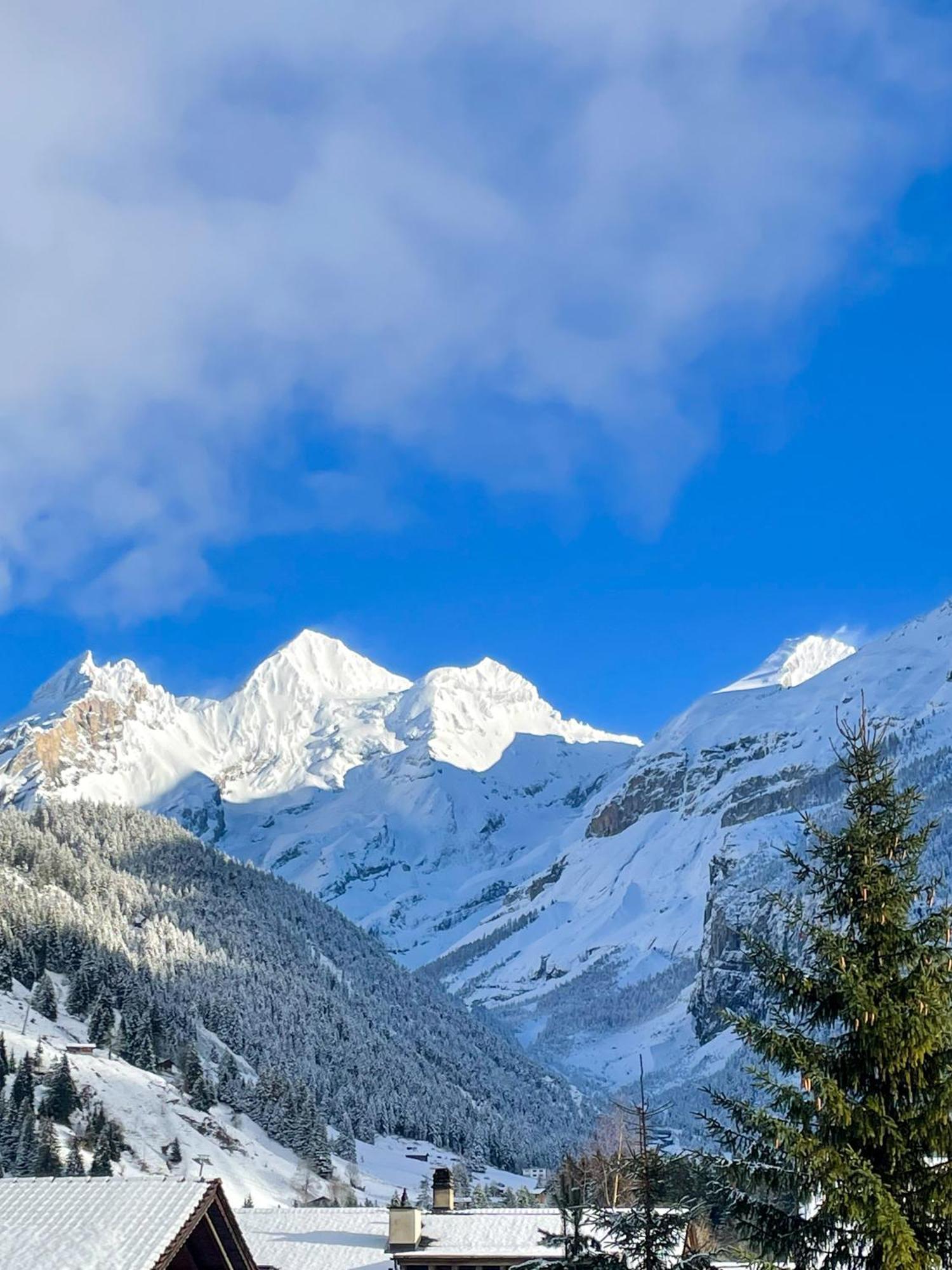Swiss Alps Lodge Kandersteg Bagian luar foto